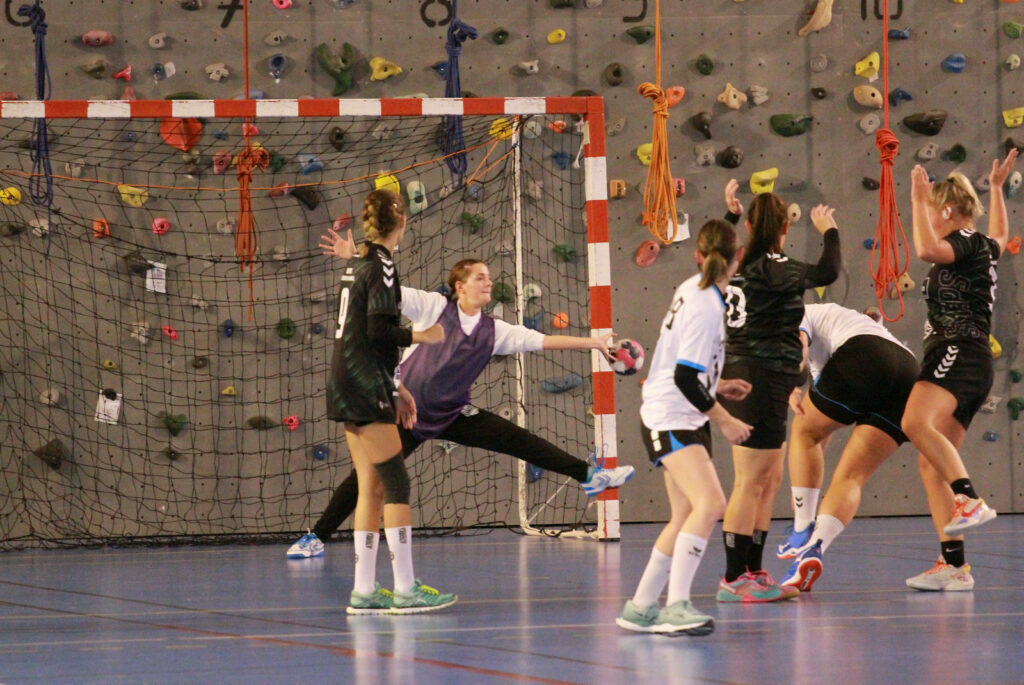 Prénationale féminine - SMEPS HB - BMHB 2 (01-10/2022)