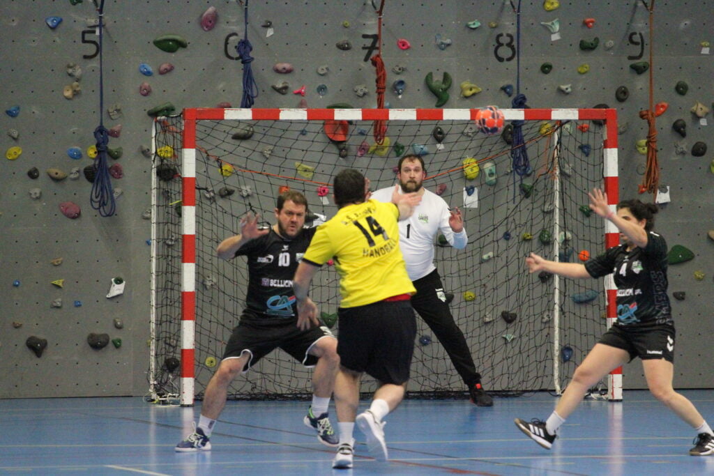 Championnat Loisirs - SMEPS HB - AS PAGNY HB (30-01-2023)