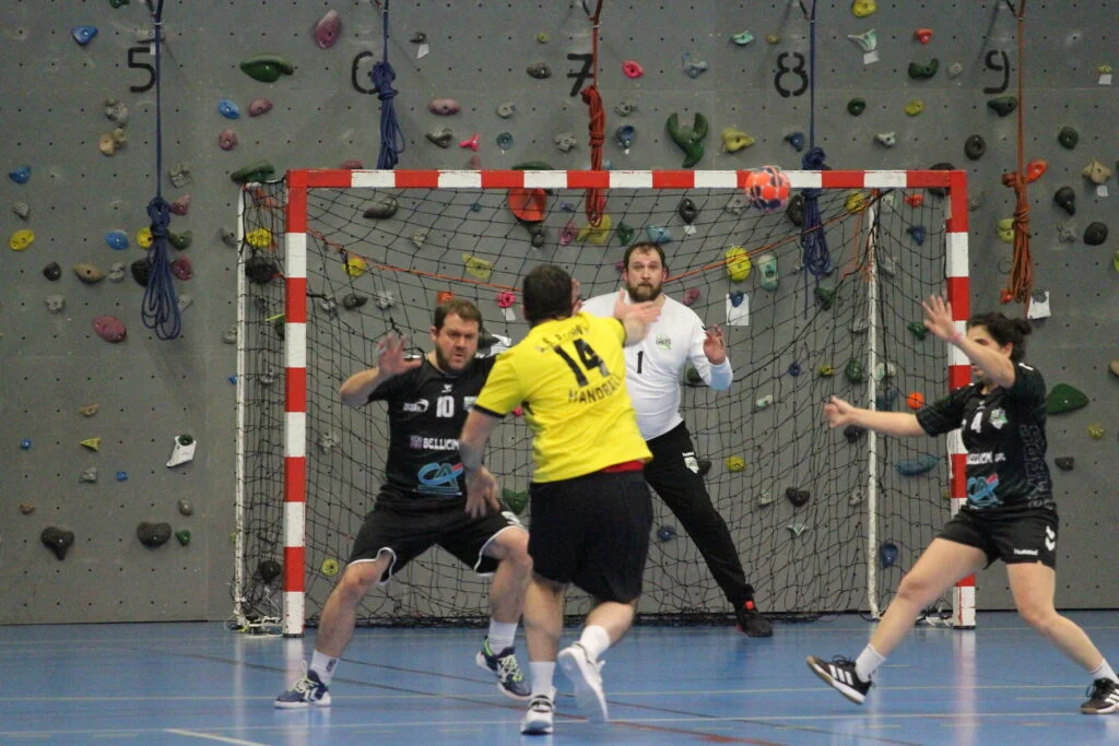 Championnat Loisirs - SMEPS HB - AS PAGNY HB (30-01-2023)