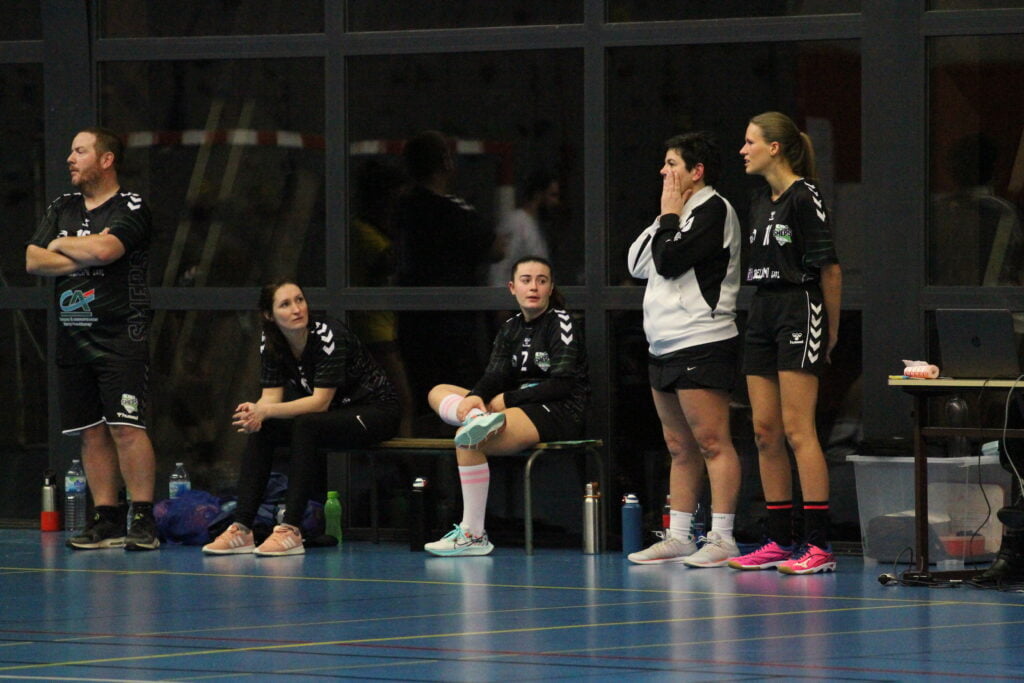 Championnat Loisirs - SMEPS HB - AS PAGNY HB (30-01-2023)