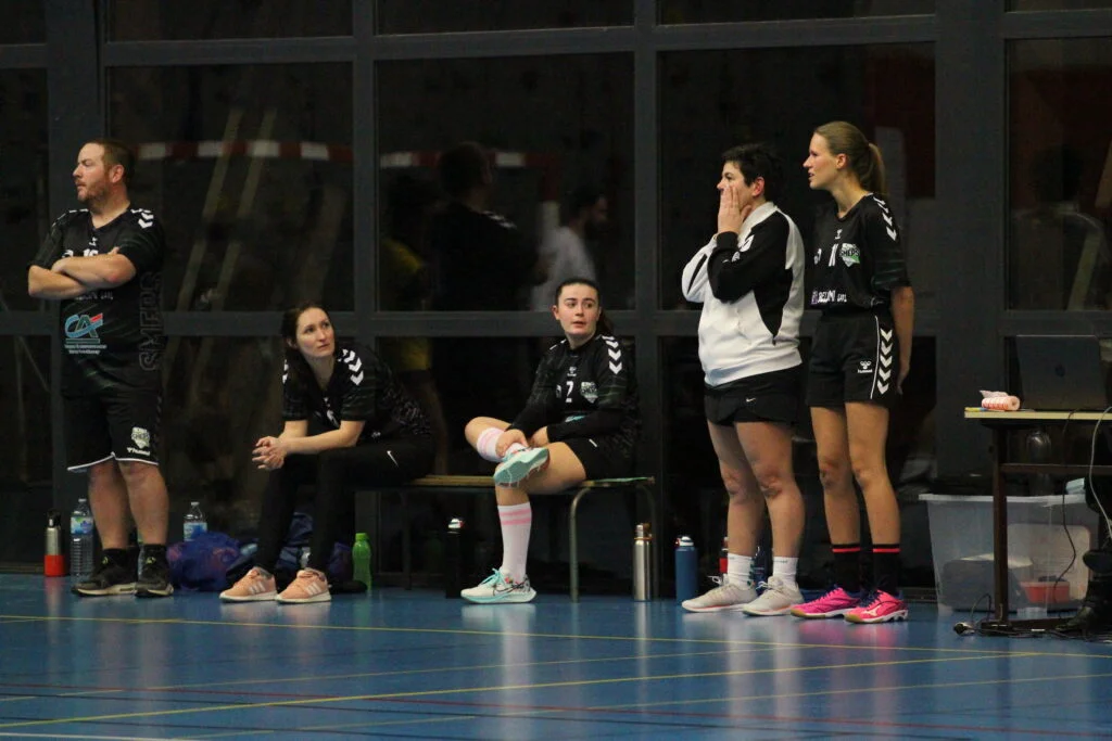 Championnat Loisirs - SMEPS HB - AS PAGNY HB (30-01-2023)