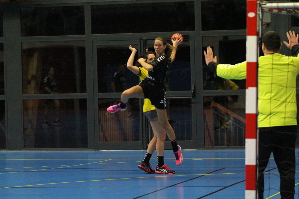 Championnat Loisirs - SMEPS HB - AS PAGNY HB (30-01-2023)